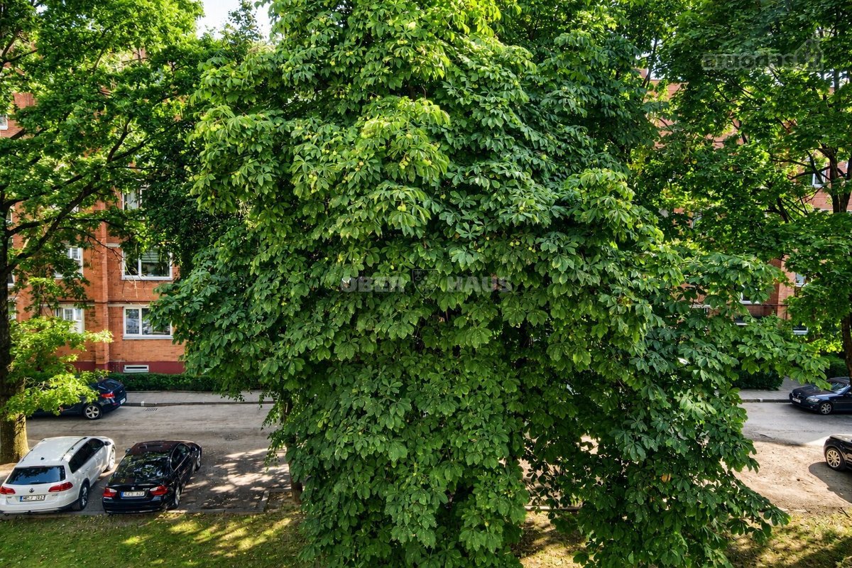 Parduodamas dviejų kambarių butas su balkonu - nuotraukos Nr. 9