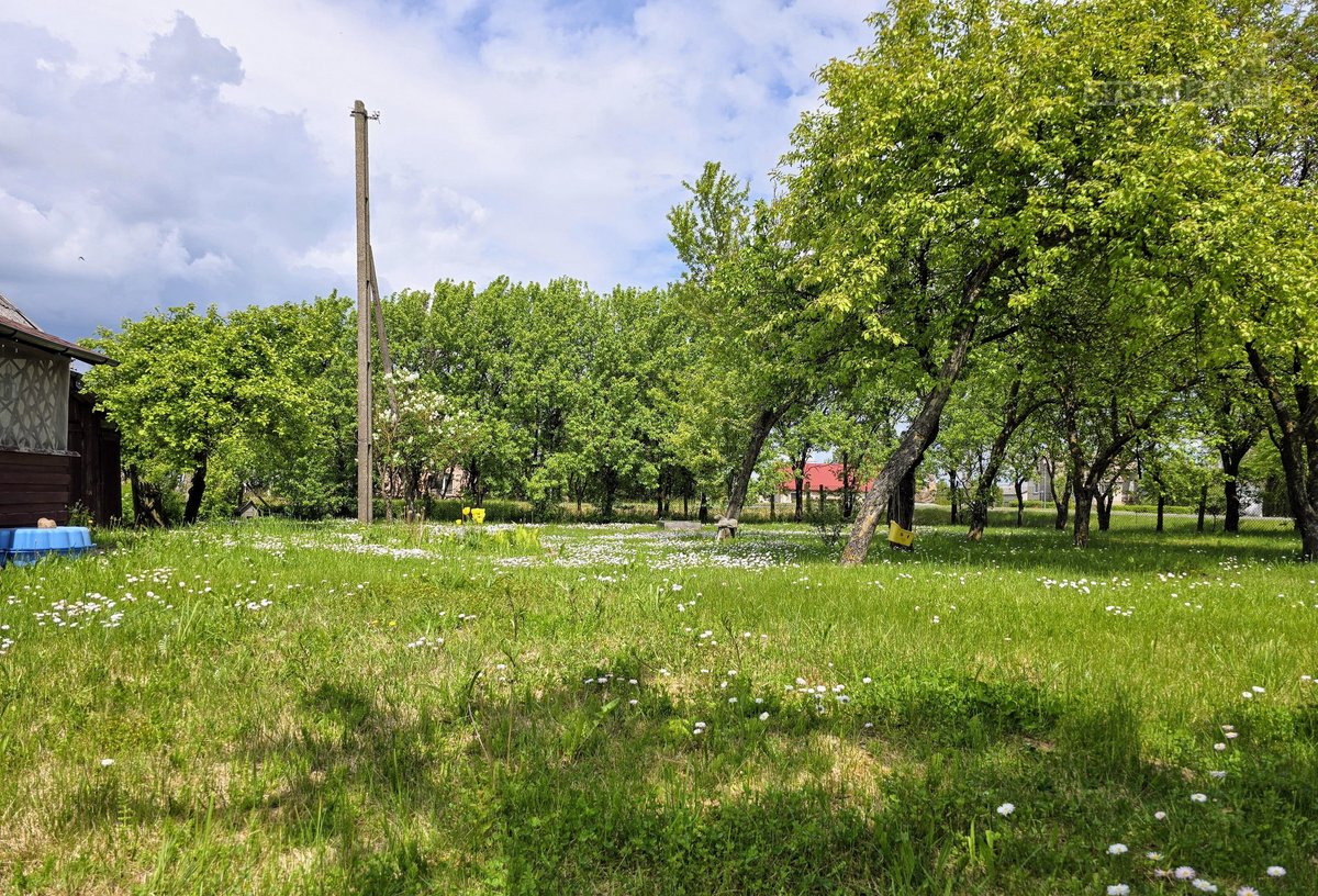 Parduodamas Sklypas Su Namu Laižuvoje . - nuotraukos Nr. 16