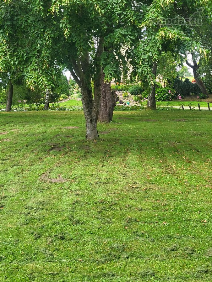 Parduodu sodyba mylėtą ir prižiūrėta. Nėra - nuotraukos Nr. 4