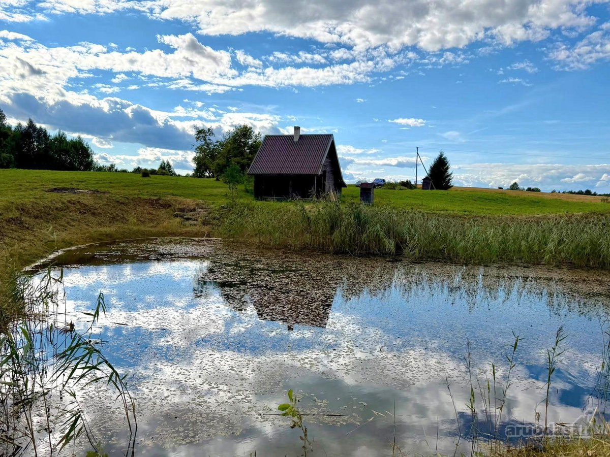 Išskirtinė Autentiška Sodyba Vienkiemyje – - nuotraukos Nr. 12
