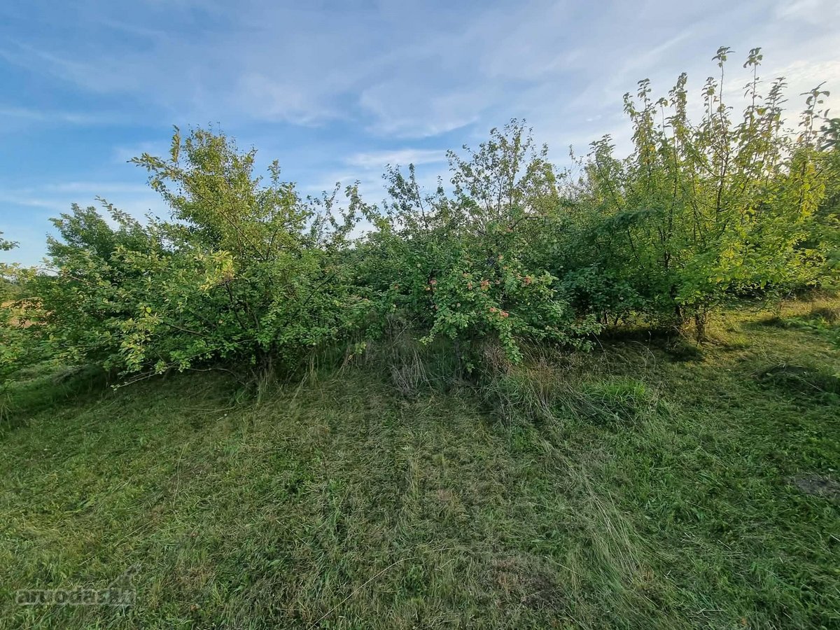 Sklypas yra besiformuojančiame gyvenamųjų - nuotraukos Nr. 4