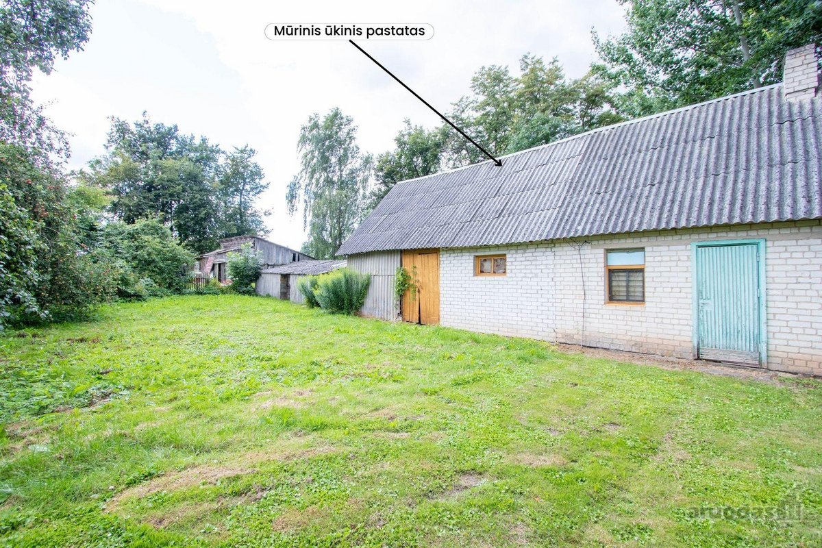 Parduodama sodyba ramioje vietoje, Pakruojo - nuotraukos Nr. 16