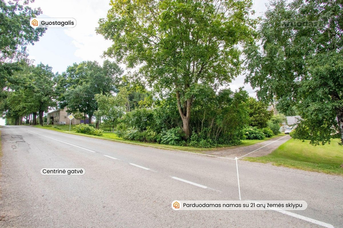 Parduodama sodyba ramioje vietoje, Pakruojo - nuotraukos Nr. 18