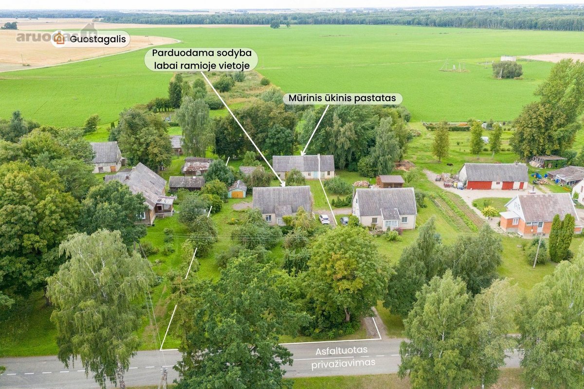 Parduodama sodyba ramioje vietoje, Pakruojo - nuotraukos Nr. 22
