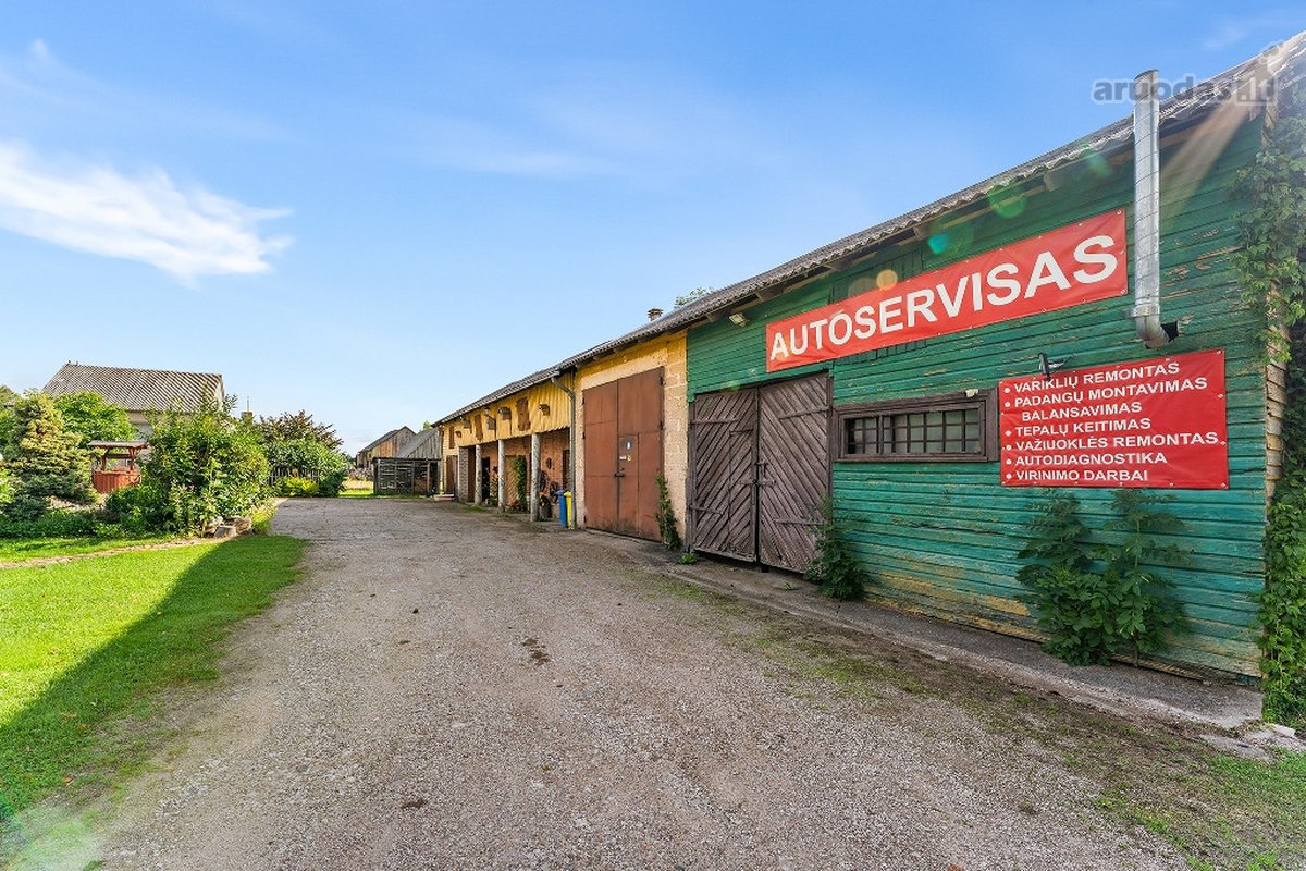 Dirbkite Neišėję Iš Savo Kiemo! - nuotraukos Nr. 5