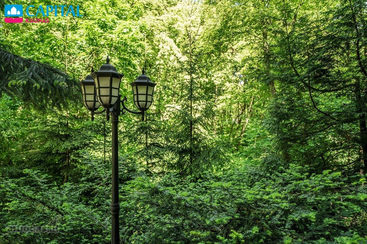 Parduodamas Namas Vienoje Prabangiausioje - nuotraukos Nr. 29