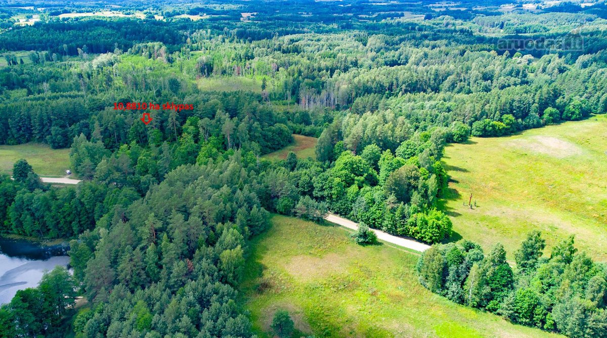 Zarasų rajone, Maniuliškių kaime, parduodamas - nuotraukos Nr. 10