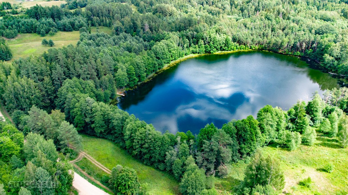 Zarasų rajone, Maniuliškių kaime, parduodamas - nuotraukos Nr. 11