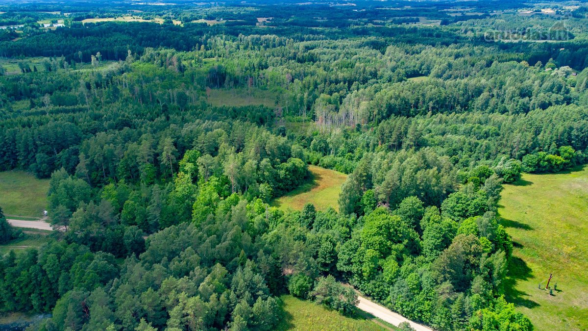 Zarasų rajone, Maniuliškių kaime, parduodamas - nuotraukos Nr. 14