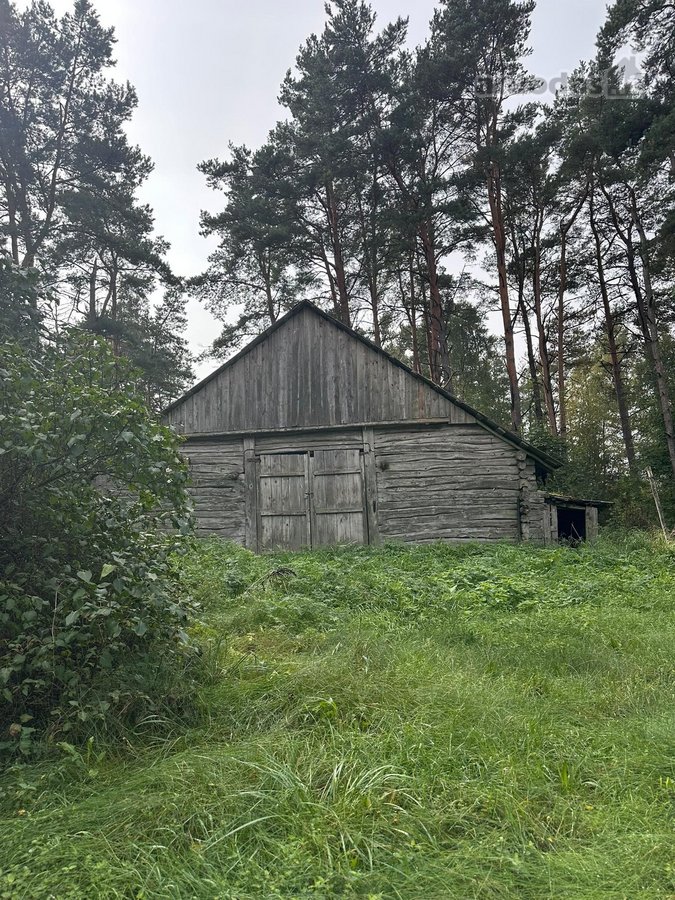 Parduodama sodyba ramioje vietoje- miške, - nuotraukos Nr. 4