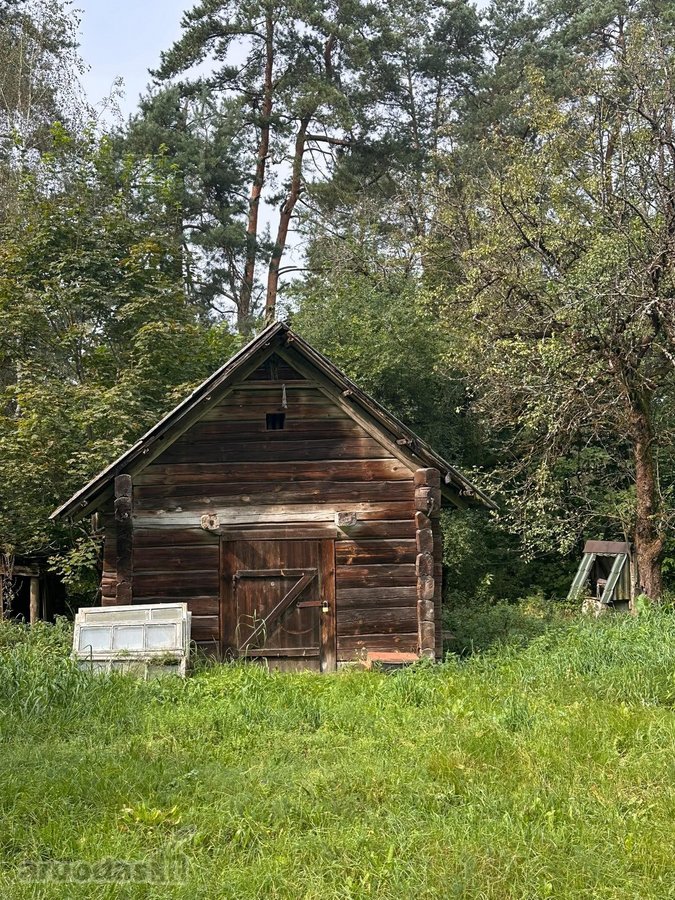 Parduodama sodyba ramioje vietoje- miške, - nuotraukos Nr. 5