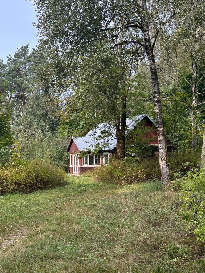 Parduodama sodyba ramioje vietoje- miške, - nuotraukos Nr. 6