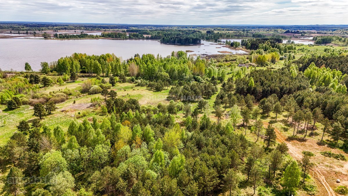 Parduodamas 50 aro žemės sklypas Molėtų - nuotraukos Nr. 2