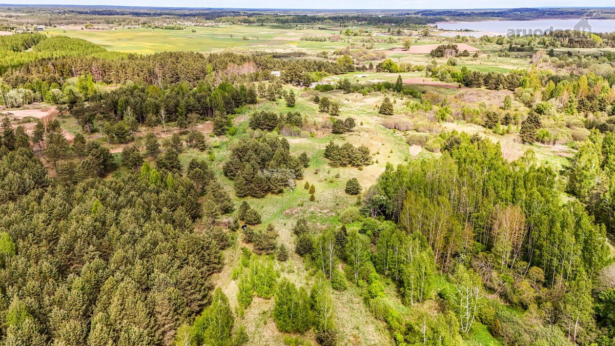 Parduodamas 50 aro žemės sklypas Molėtų - nuotraukos Nr. 3