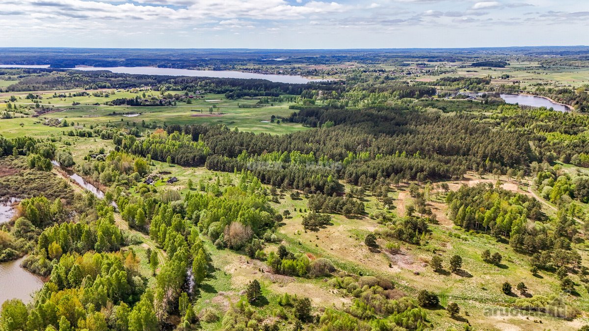 Parduodamas 50 aro žemės sklypas Molėtų - nuotraukos Nr. 10
