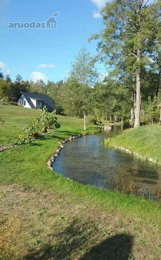 Ant šimtamečio pušyno kalvos, - nuotraukos Nr. 36