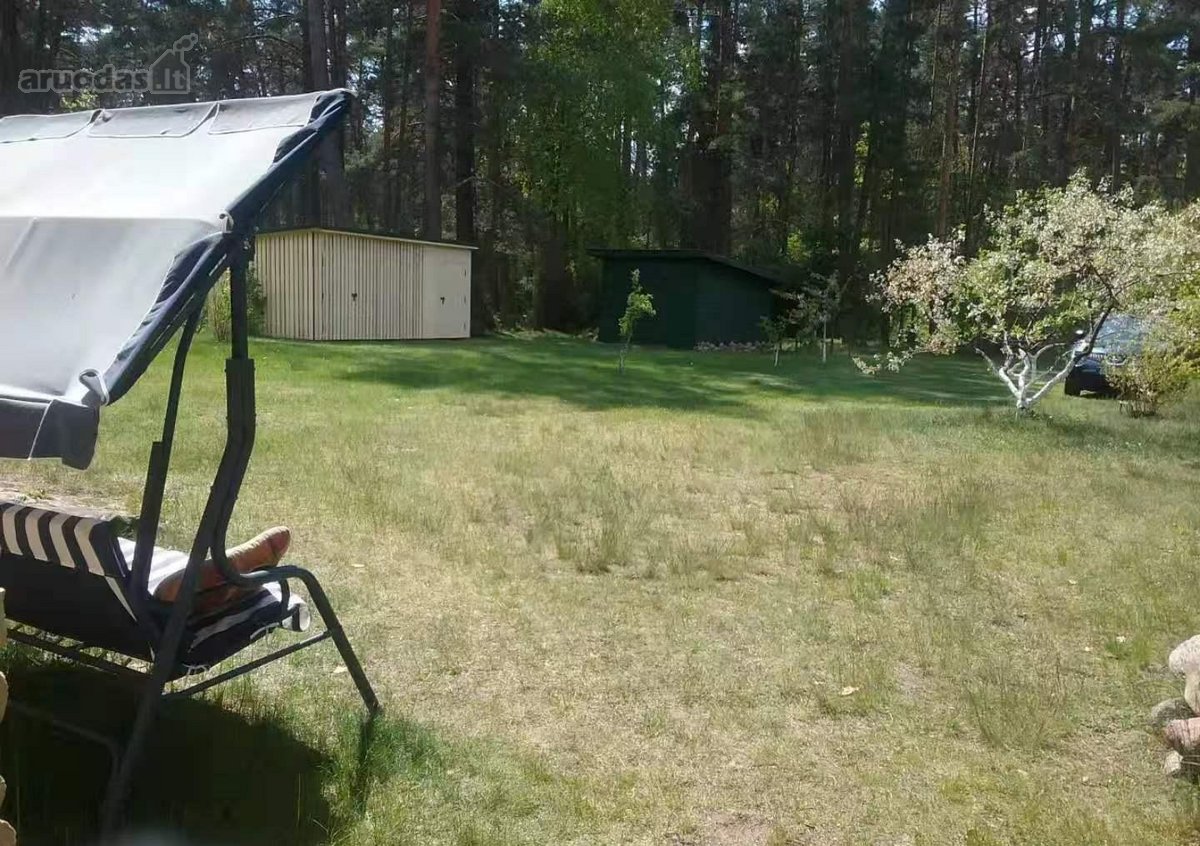 Ant šimtamečio pušyno kalvos, - nuotraukos Nr. 30