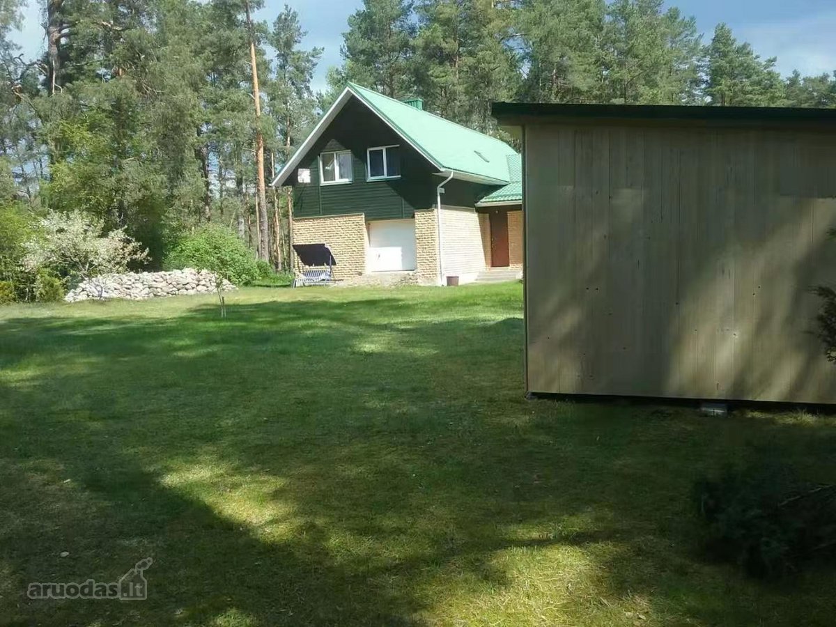 Ant šimtamečio pušyno kalvos, - nuotraukos Nr. 31