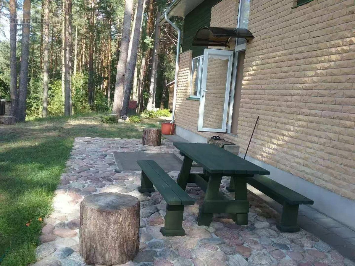 Ant šimtamečio pušyno kalvos, - nuotraukos Nr. 34