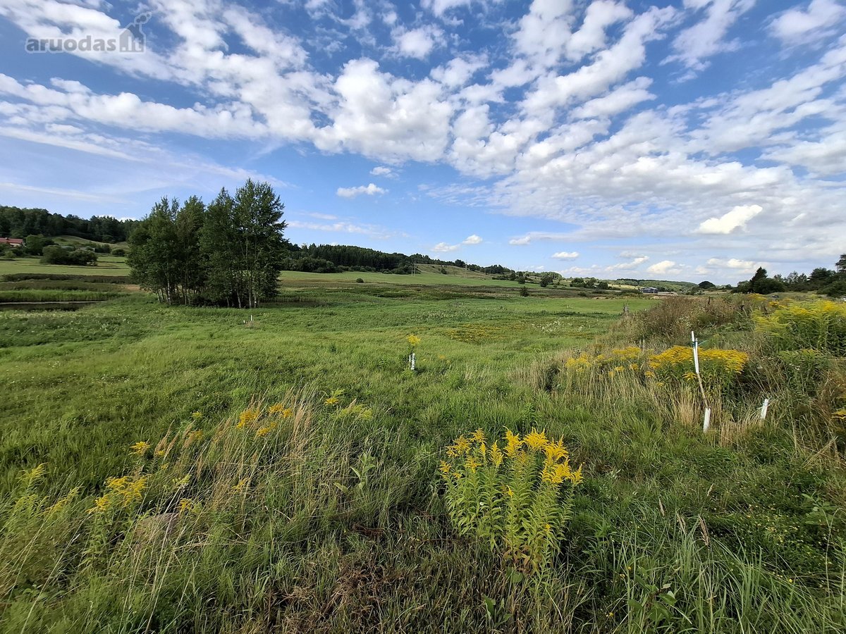 Parduodamas Namų Valdos Sklypas Vilniaus r. - nuotraukos Nr. 12