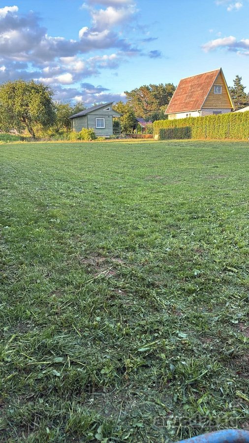 6.2 aro, išvalytas, sufrezuotas, sulygintas, - nuotraukos Nr. 4