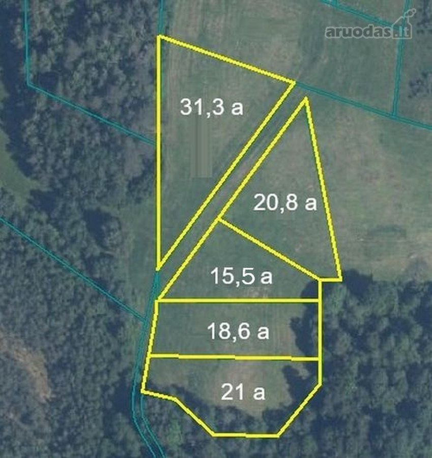 Parduodami namų valdos sklypai Trakų r., - nuotraukos Nr. 2