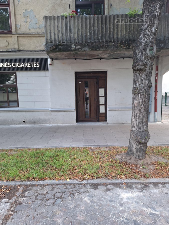Vieta! Vieta! Vieta! - nuotraukos Nr. 9