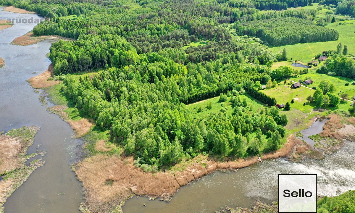  – Nt ekspertai be procentų - nuotraukos Nr. 6