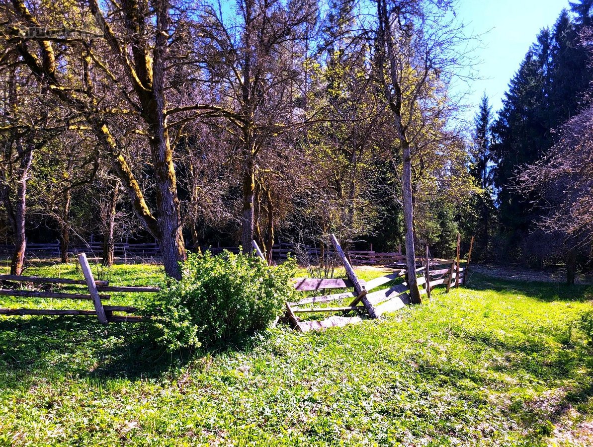 Parduodama autentiška sodyba su šimtmečio - nuotraukos Nr. 23