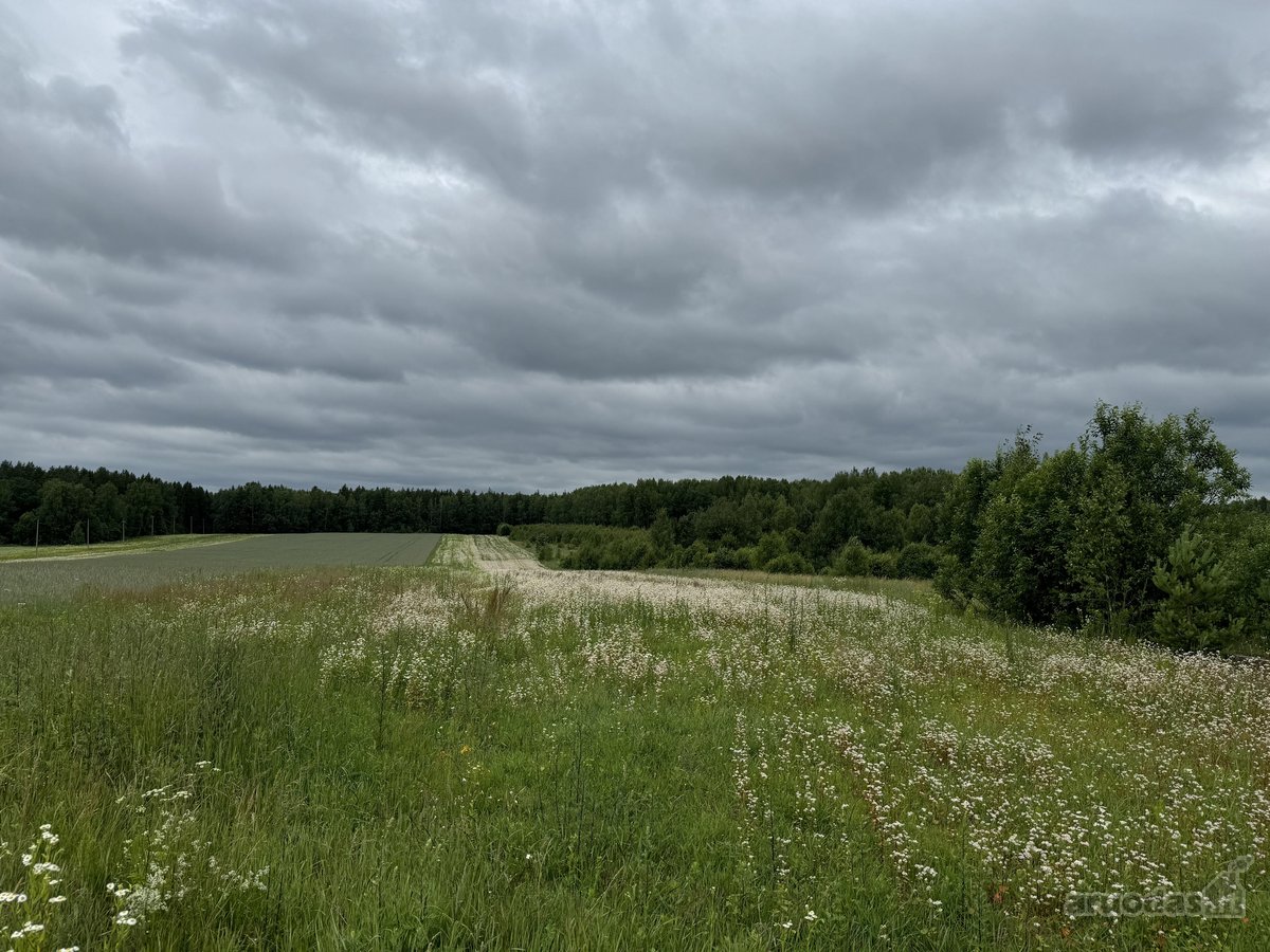 Parduodamas 160,00 a (1,6000 ha) žemės ūkio - nuotraukos Nr. 2