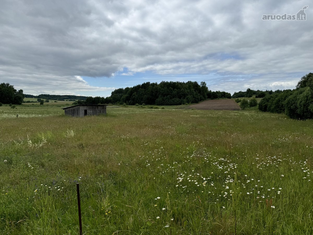 Parduodamas 50,38 a (0,5038 ha) žemės ūkio - nuotraukos Nr. 3