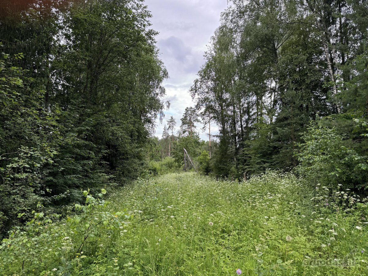 Parduodamas 41,07 a (0,4107 ha) žemės ūkio - nuotraukos Nr. 2