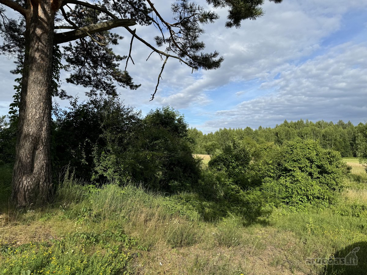 Parduodamas 68,38 a (0,6838 ha) žemės ūkio - nuotraukos Nr. 2
