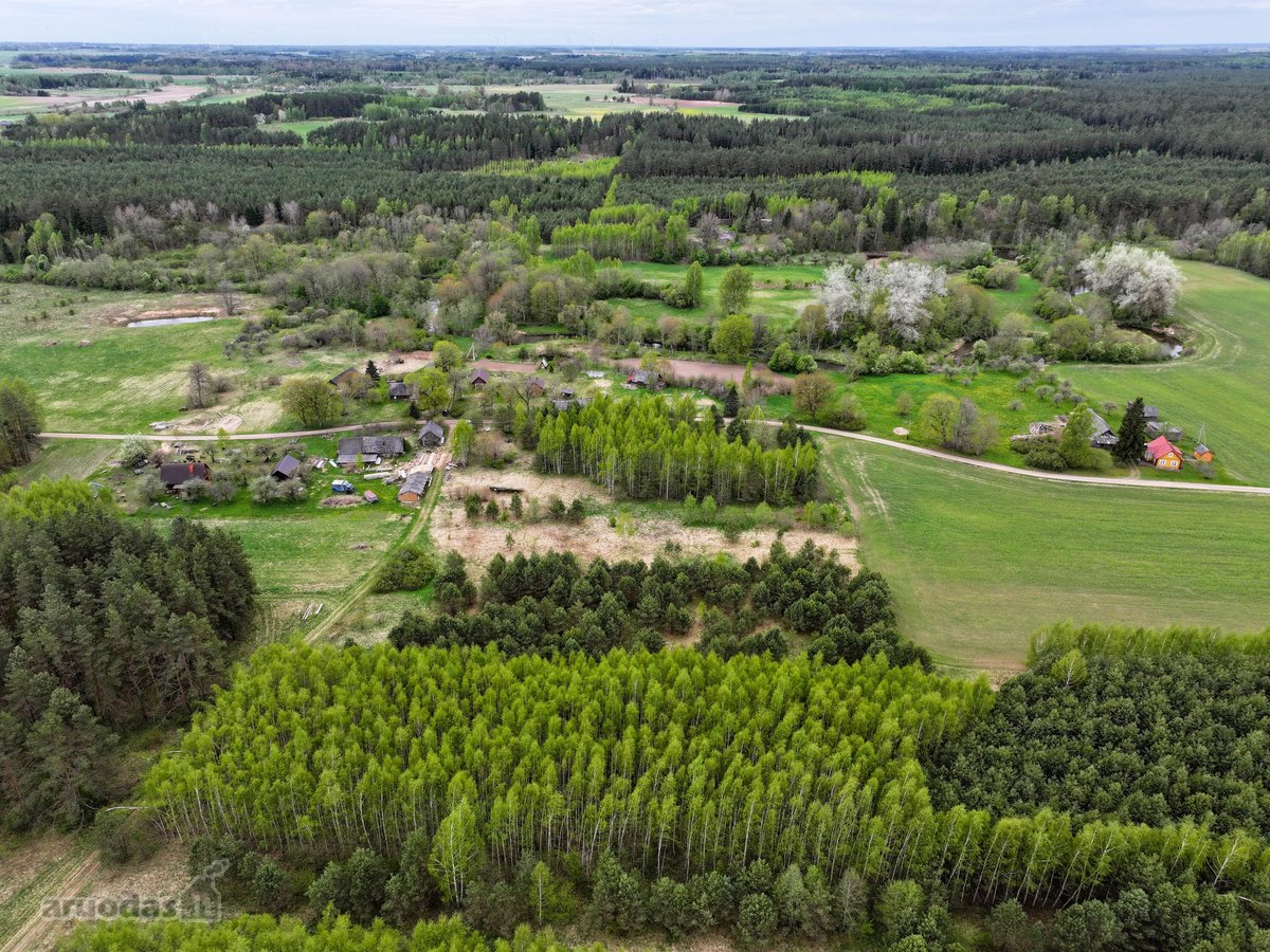 Parduodamas 82,4 a žemės ūkio paskirties - nuotraukos Nr. 7