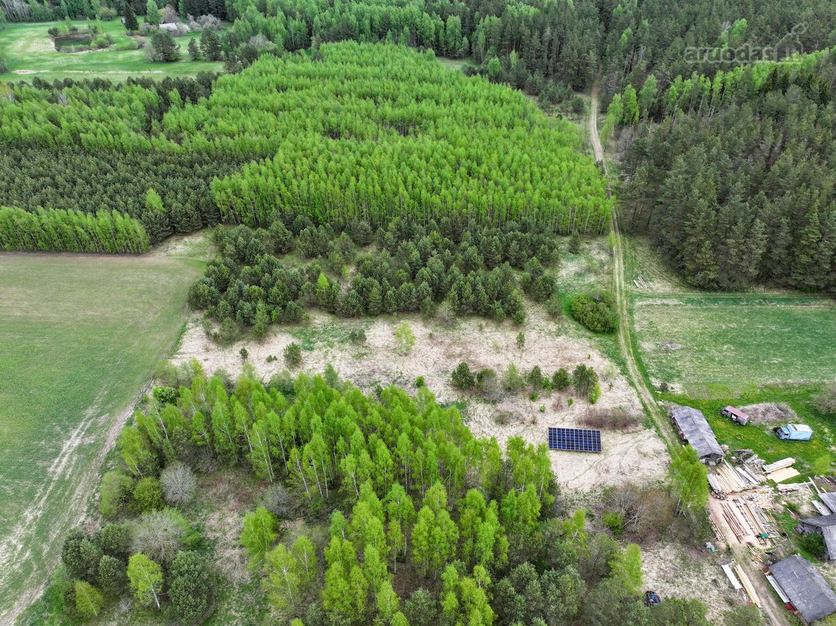 Parduodamas 82,4 a žemės ūkio paskirties - nuotraukos Nr. 8