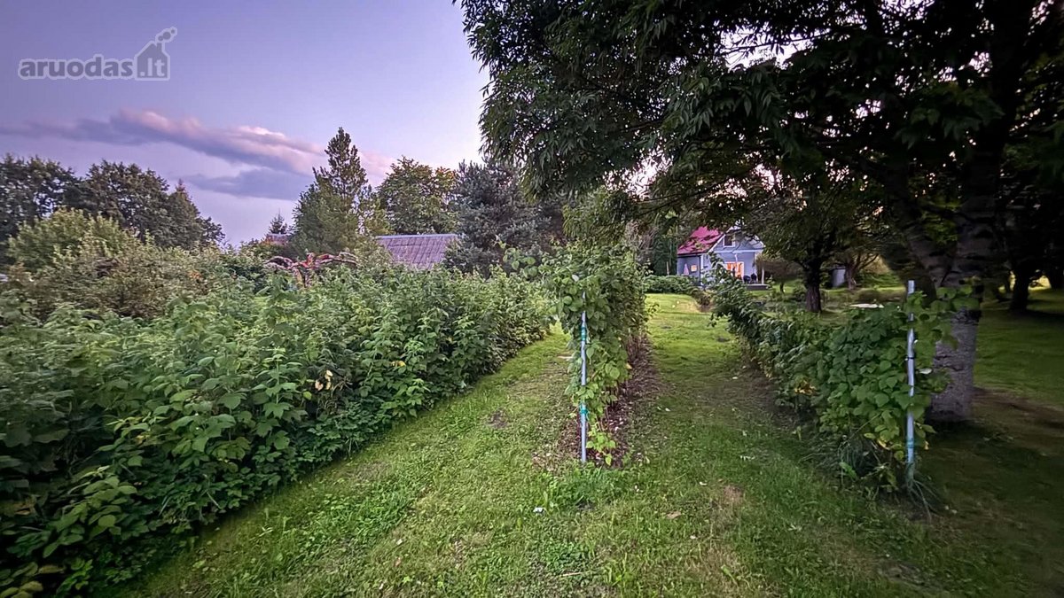 Parduodama Išpuoselėta Vienkiemio Sodyba Prie - nuotraukos Nr. 34
