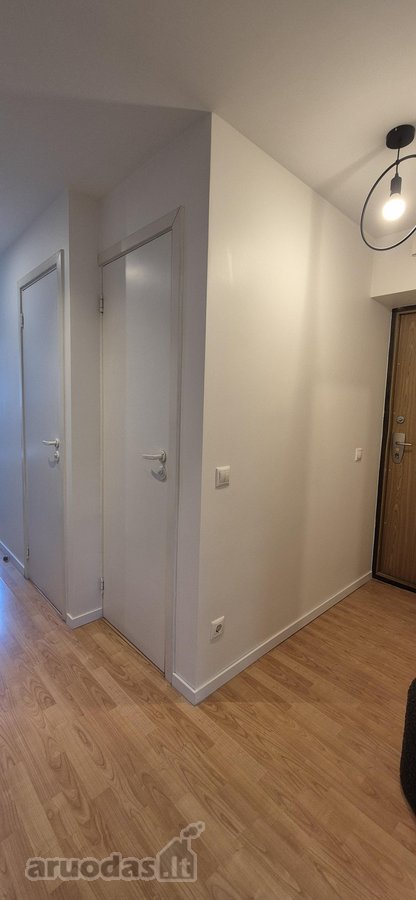 Nuomojamas Jaukus Ir Tvarkingas 2 Kambarių - nuotraukos Nr. 24