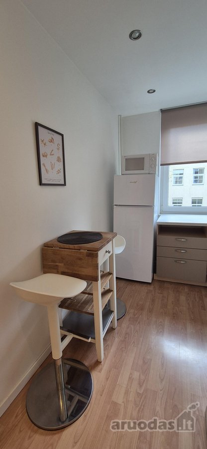 Nuomojamas Jaukus Ir Tvarkingas 2 Kambarių - nuotraukos Nr. 14