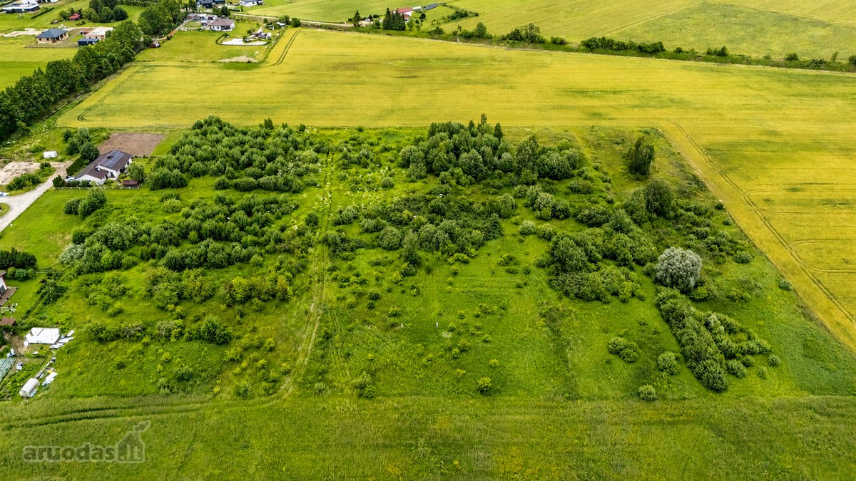Gyvenamosios paskirties sklypas. Yra - nuotraukos Nr. 8
