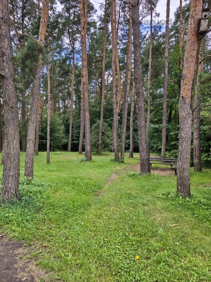 Parduodamas 2-jų kambarių butas,kuris lengvai - nuotraukos Nr. 21