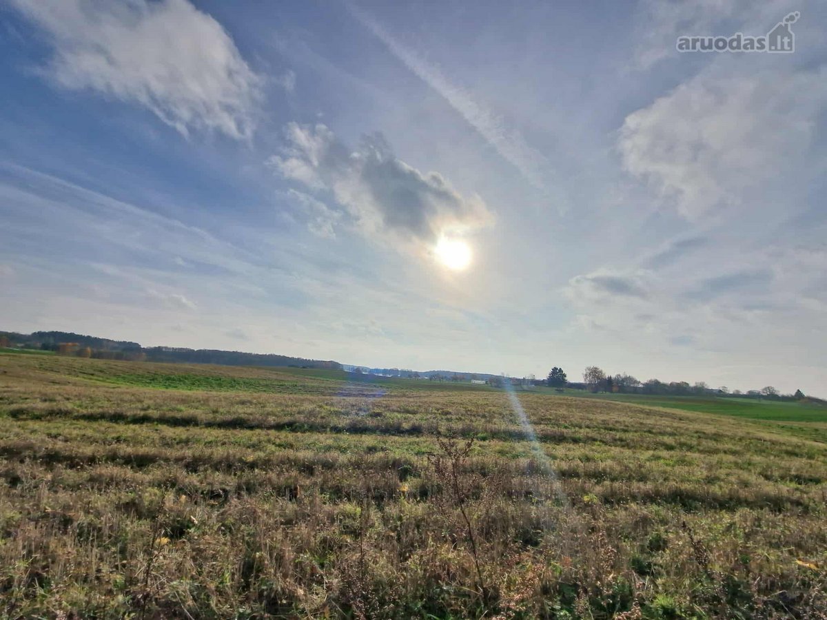 Arduodame sodybą su 13,13 ha žemės sklypu** - nuotraukos Nr. 15
