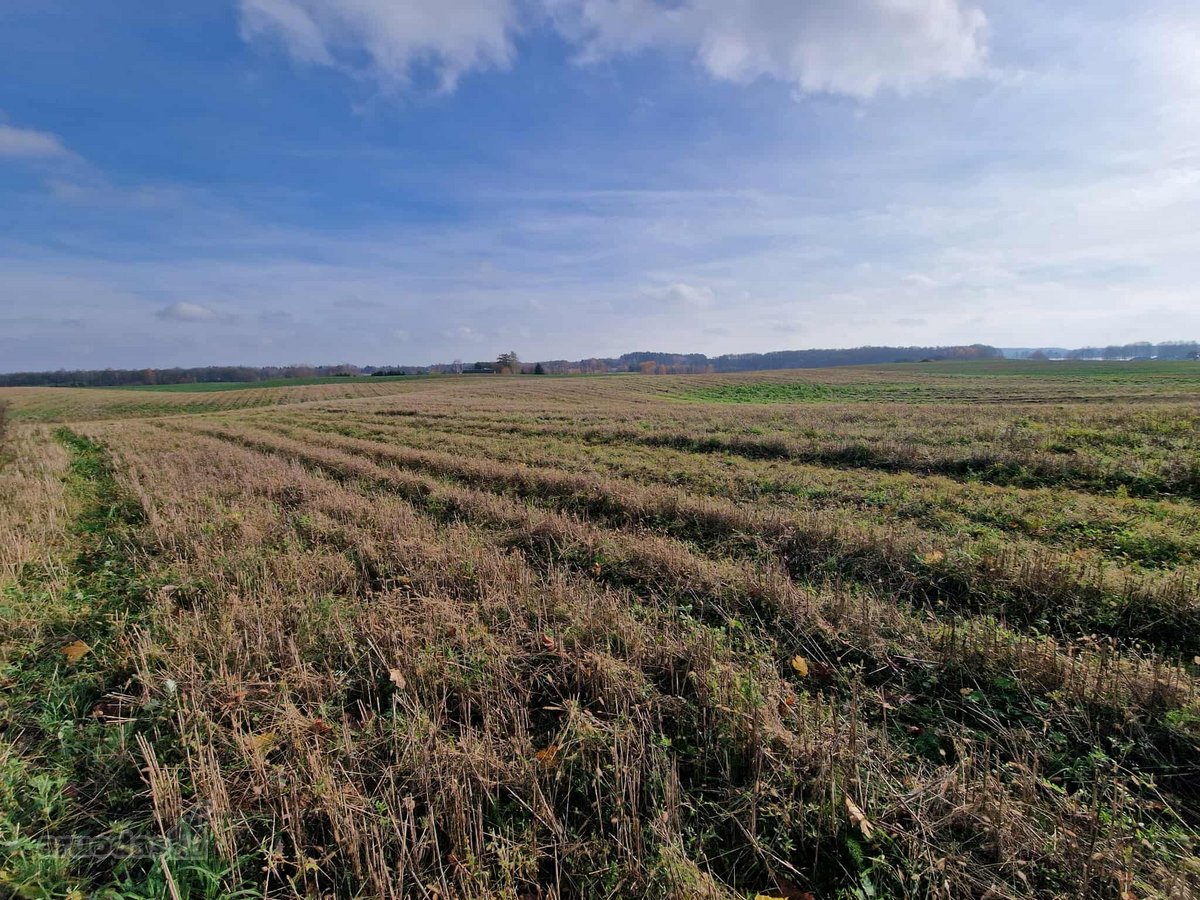 Arduodame sodybą su 13,13 ha žemės sklypu** - nuotraukos Nr. 14