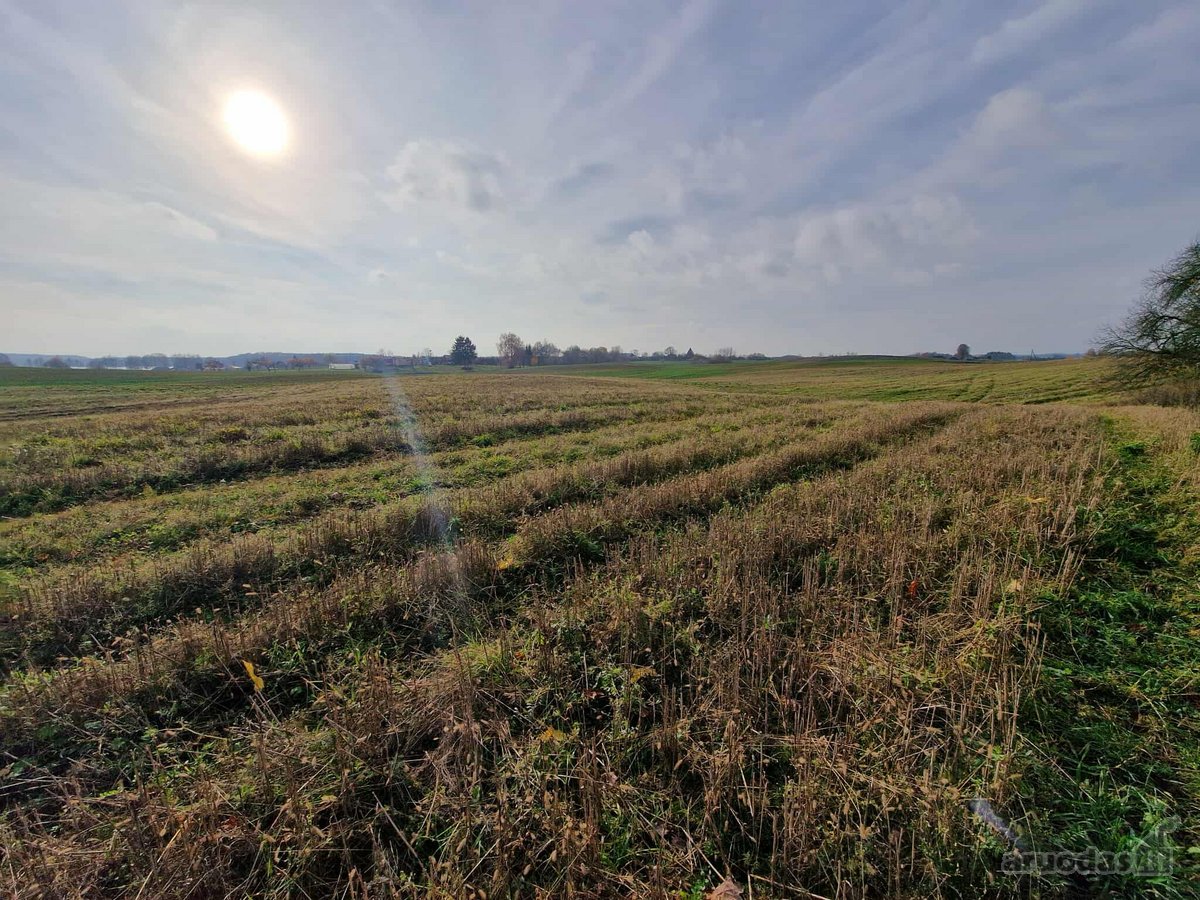 Arduodame sodybą su 13,13 ha žemės sklypu** - nuotraukos Nr. 12