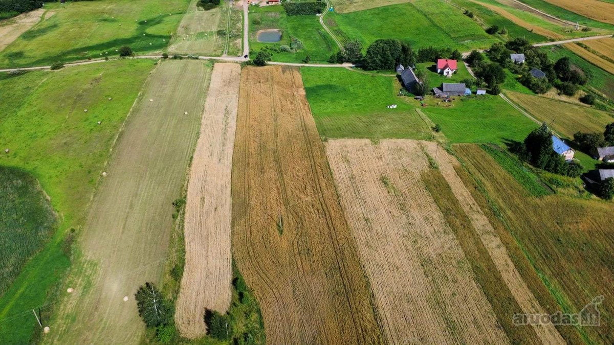 Lazdijų r. sav., Seirijų sen., Paserninkų k. - nuotraukos Nr. 4