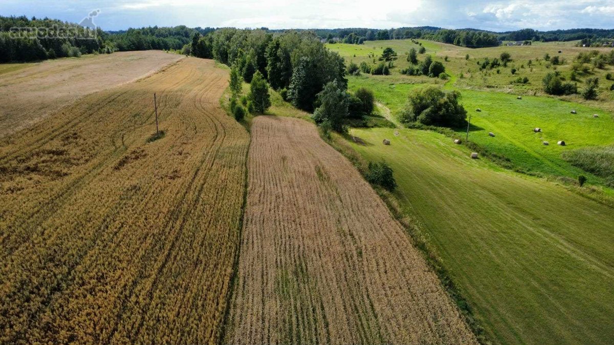 Lazdijų r. sav., Seirijų sen., Paserninkų k. - nuotraukos Nr. 5
