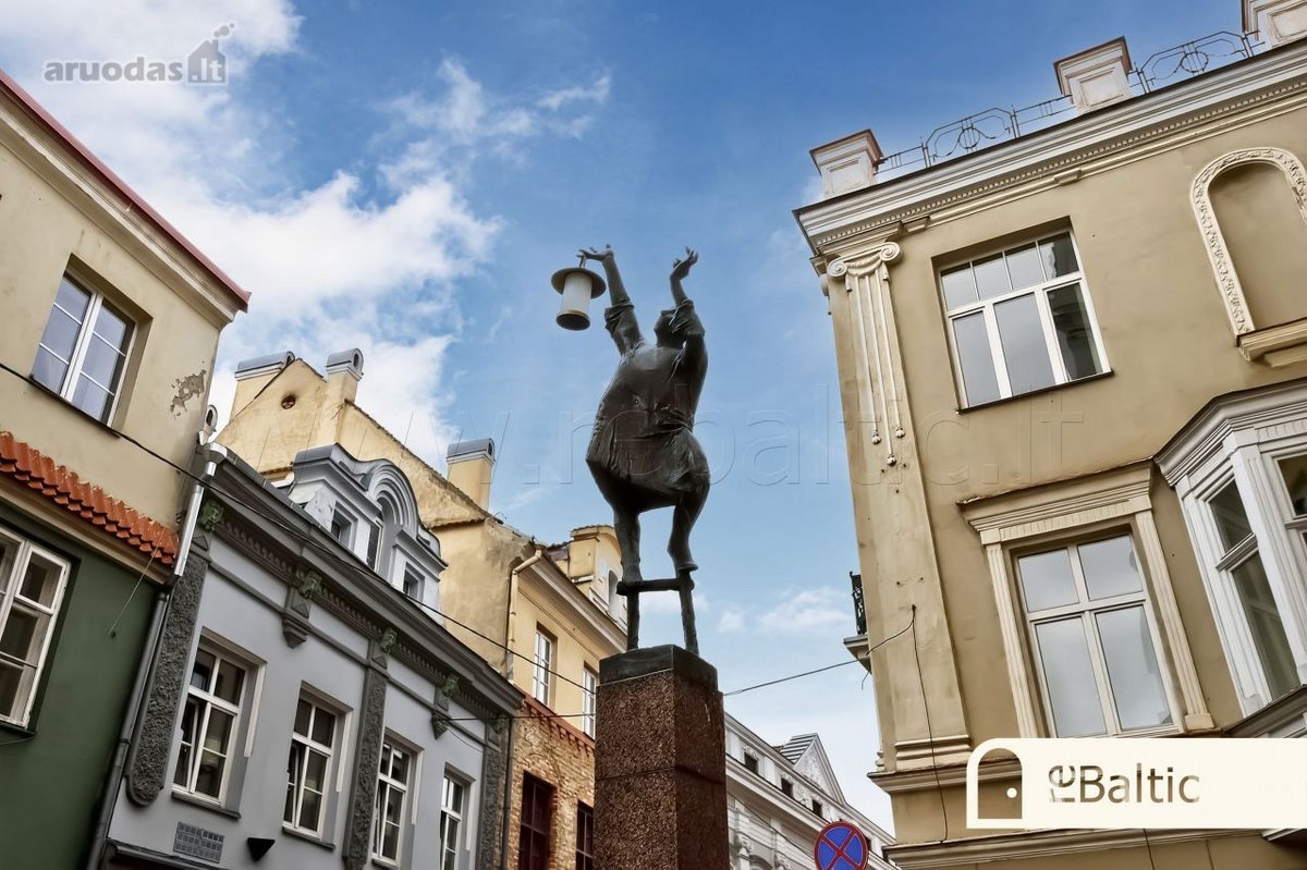 Erdvus trijų kambarių butas su vaizdais į Šv. - nuotraukos Nr. 38
