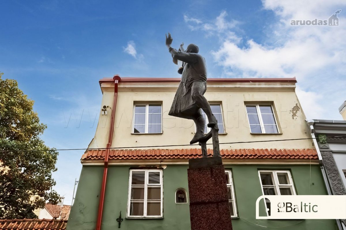 Erdvus trijų kambarių butas su vaizdais į Šv. - nuotraukos Nr. 39
