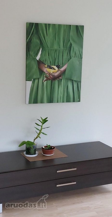 Naujų gyventojų laukia erdvus dviejų kambarių - nuotraukos Nr. 9