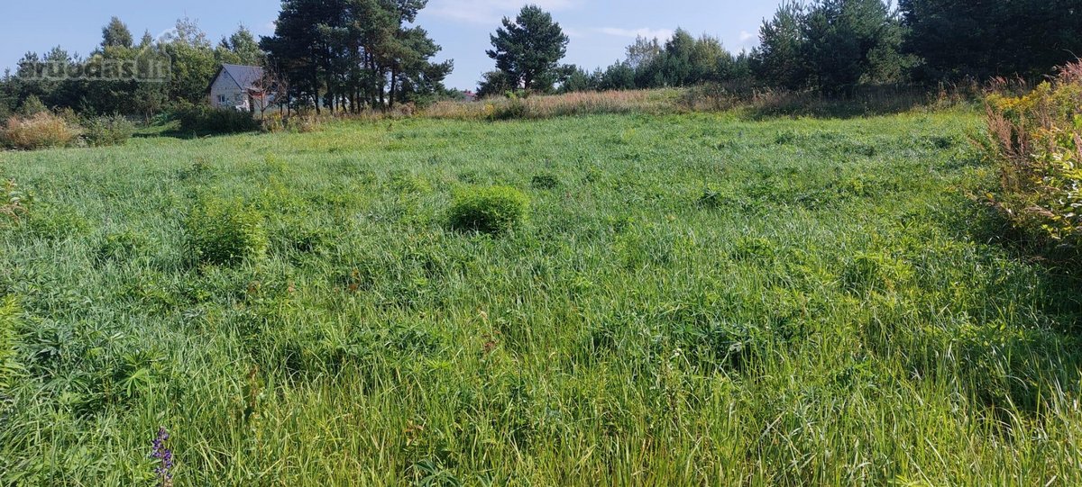 Parduodamas Namų Valdos sklypas - 13.66a. - nuotraukos Nr. 5