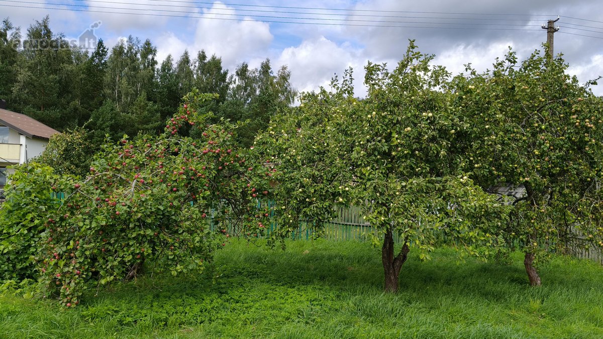 Vilniaus raj. Bratoniškių km.SB "Girija" - nuotraukos Nr. 4